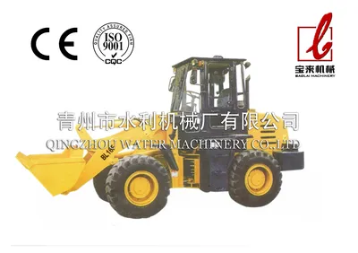 Hot Sell Loaders (BL)